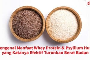 Whey protein dan psyllium husk